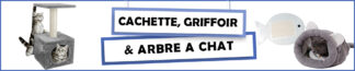 Cachette, Griffoire et Arbre à Chat