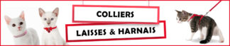 Colliers, Laisses et Harnais