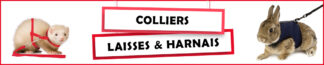 Colliers, Laisses et Harnais