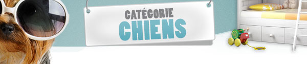 Catégorie Chien