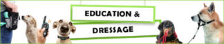 Éducation et Dressage