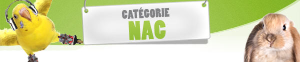 NAC