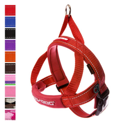 Collection EZYDOG – Image 7