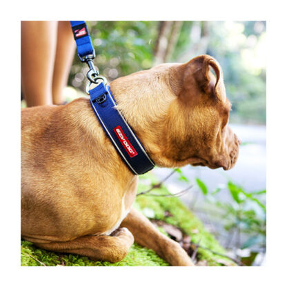 Collection EZYDOG – Image 4