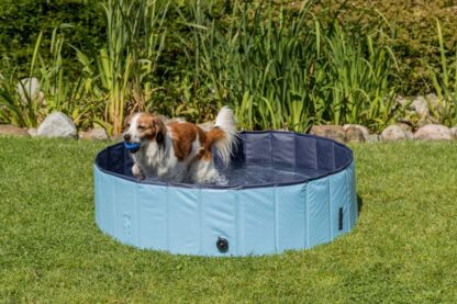 Piscine Pour Chien, 160 × 30 cm – Image 3