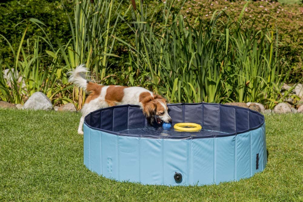 van Dam Exclusive® Piscine pour animaux - Piscine - Piscine pour chiens -  bain - bain