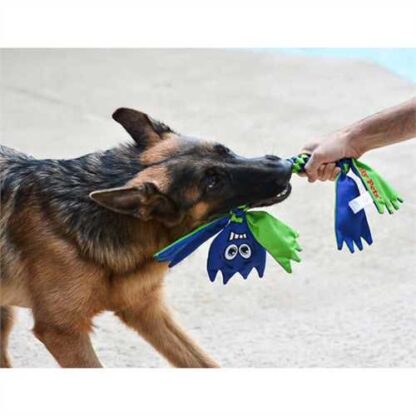 Jolly Pets Flatheads – Image 3