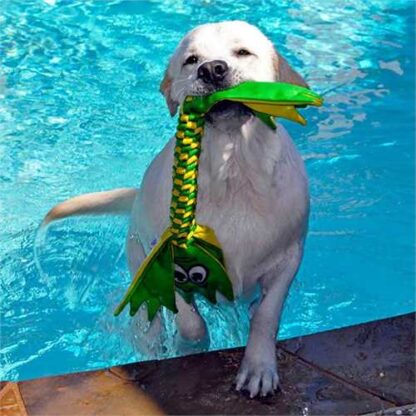 Jolly Pets Flatheads – Image 4